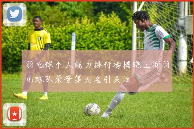 羽毛球个人能力排行榜揭晓上海羽毛球队荣登第九名引关注