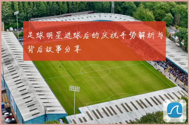 足球明星进球后的庆祝手势解析与背后故事分享