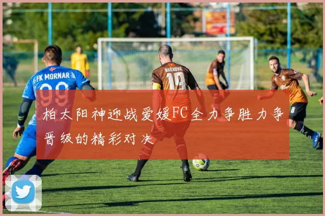 柏太阳神迎战爱媛FC全力争胜力争晋级的精彩对决