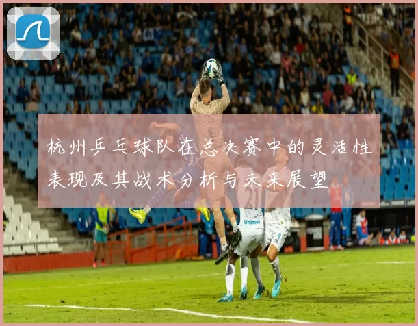 杭州乒乓球队在总决赛中的灵活性表现及其战术分析与未来展望