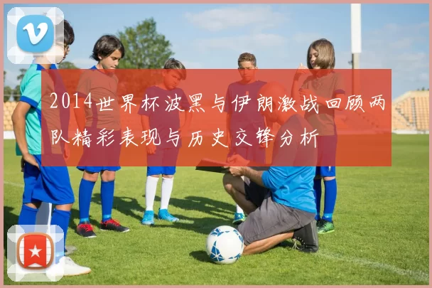 2014世界杯波黑与伊朗激战回顾两队精彩表现与历史交锋分析