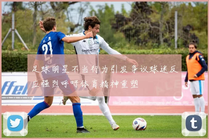 足球明星不当行为引发争议球迷反应强烈呼吁体育精神重塑