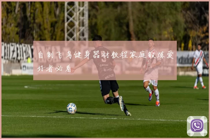 自制飞鸟健身器材教程家庭锻炼爱好者必看