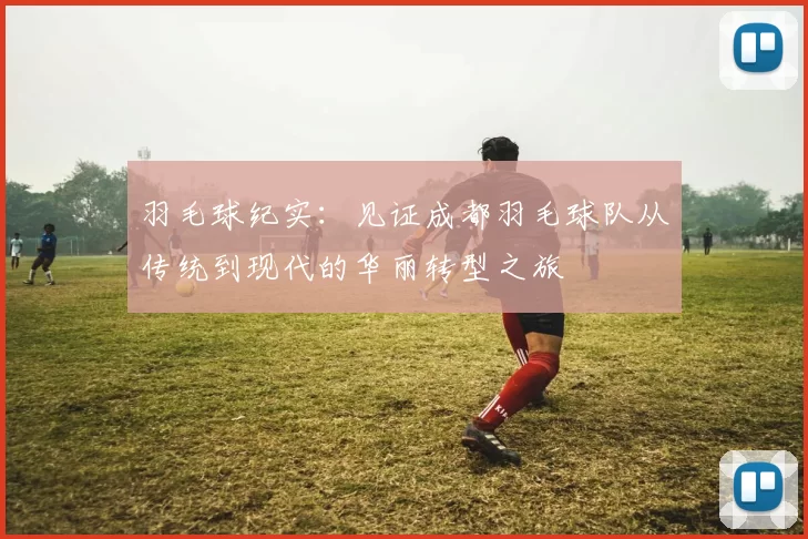羽毛球纪实：见证成都羽毛球队从传统到现代的华丽转型之旅