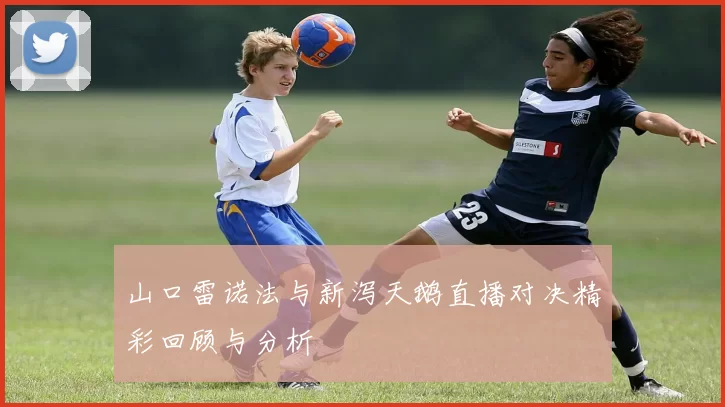 山口雷诺法与新泻天鹅直播对决精彩回顾与分析