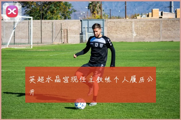 英超水晶宫现任主教练个人履历公开