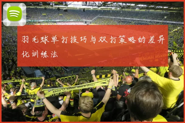羽毛球单打技巧与双打策略的差异化训练法
