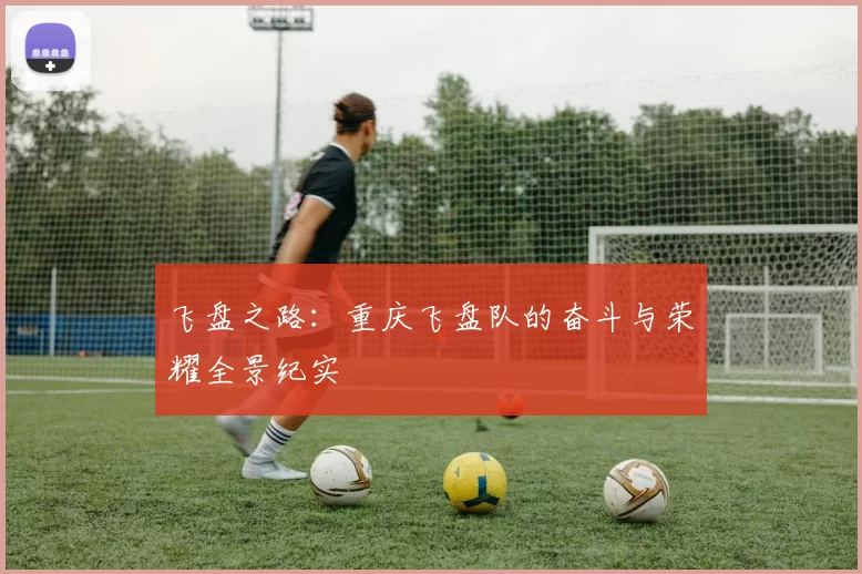 飞盘之路：重庆飞盘队的奋斗与荣耀全景纪实