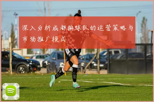 深入分析成都排球队的运营策略与市场推广模式