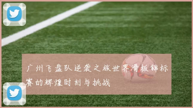 广州飞盘队逆袭之旅世界滑板锦标赛的辉煌时刻与挑战