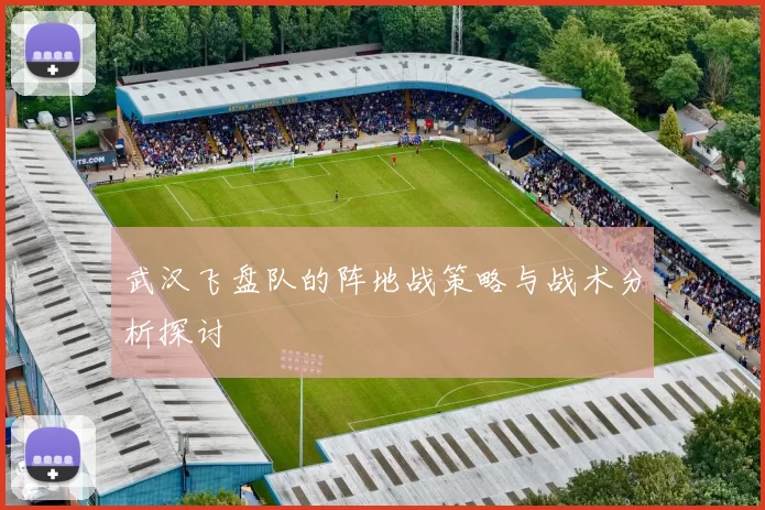 武汉飞盘队的阵地战策略与战术分析探讨