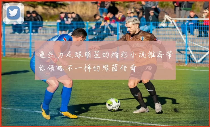 重生为足球明星的精彩小说推荐带你领略不一样的绿茵传奇