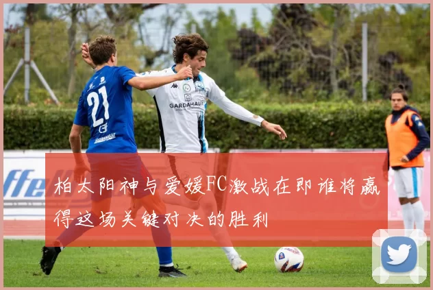 柏太阳神与爱媛FC激战在即谁将赢得这场关键对决的胜利