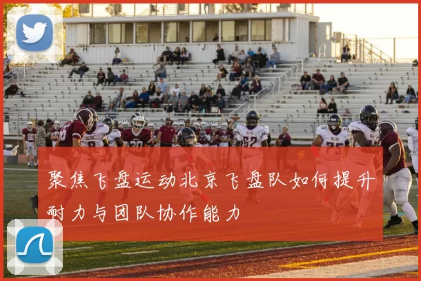 聚焦飞盘运动北京飞盘队如何提升耐力与团队协作能力