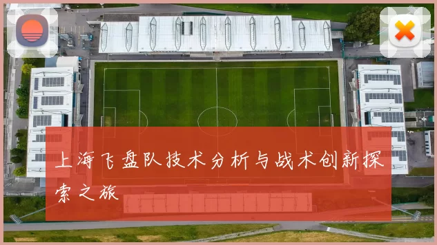 上海飞盘队技术分析与战术创新探索之旅