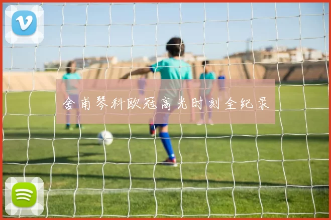 舍甫琴科欧冠高光时刻全纪录