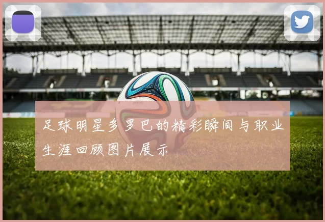 足球明星多罗巴的精彩瞬间与职业生涯回顾图片展示