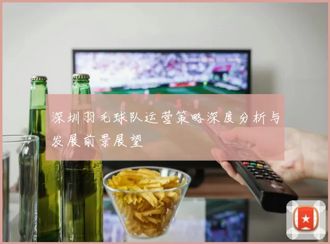 深圳羽毛球队运营策略深度分析与发展前景展望