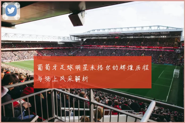 葡萄牙足球明星米格尔的辉煌历程与场上风采解析