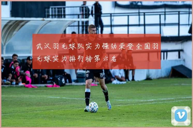 武汉羽毛球队实力强劲荣登全国羽毛球实力排行榜第六名
