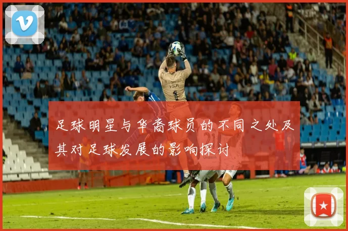 足球明星与华裔球员的不同之处及其对足球发展的影响探讨