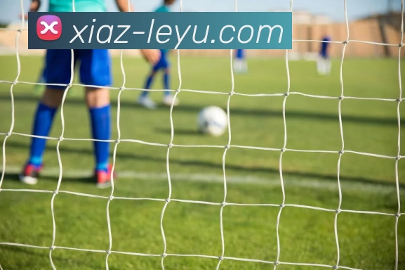 乐鱼体育APP 高清赛事图